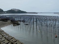 鹿児島県鹿児島市平川　単管足場工事①